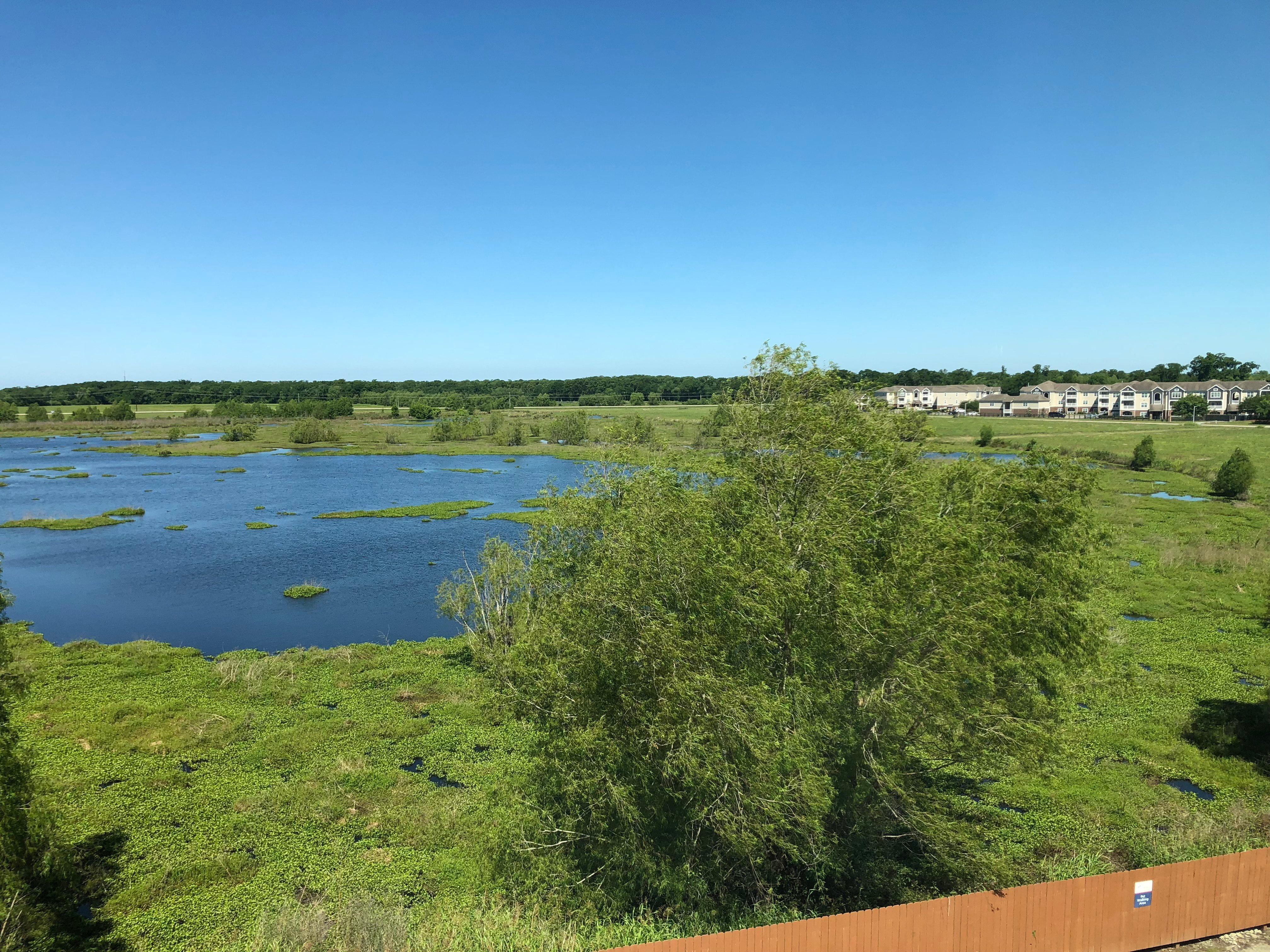 Candlewood Suites Houma By Ihg Eksteriør billede